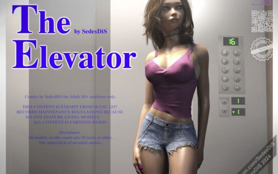 SedesDiS - The Elevator