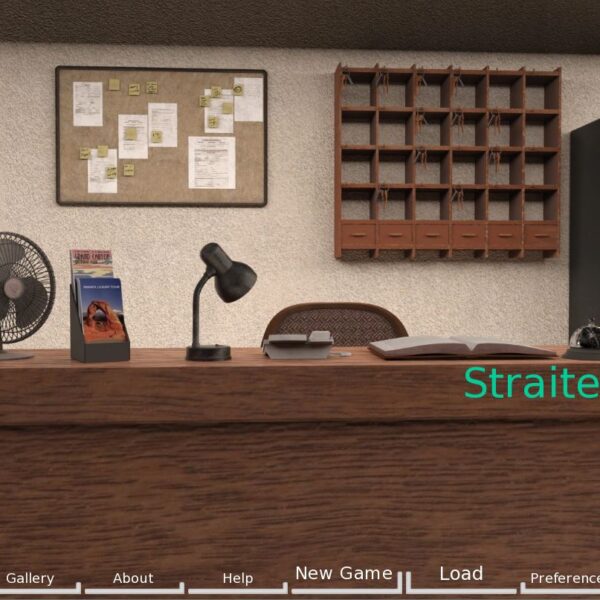 It's a game about a young guy living together with a small Commune of Mother superior, holy Father and two novice Sisters.